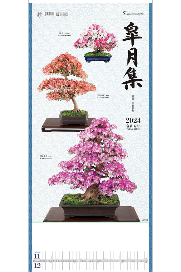 Todan 2024 Wall Calendar Satsuki Shu 76.5 x 35cm TD-784