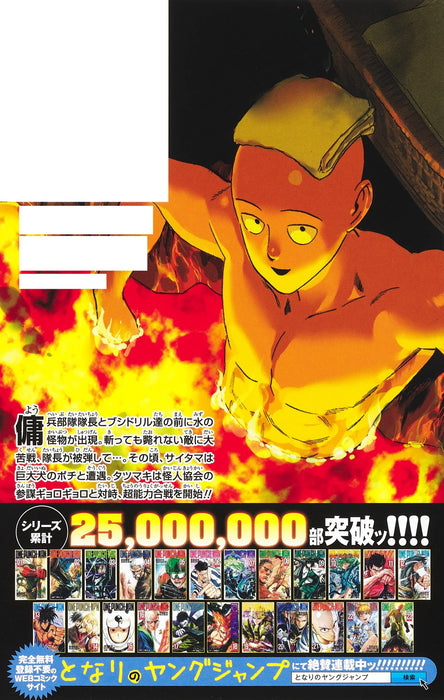 One Punch Man 24