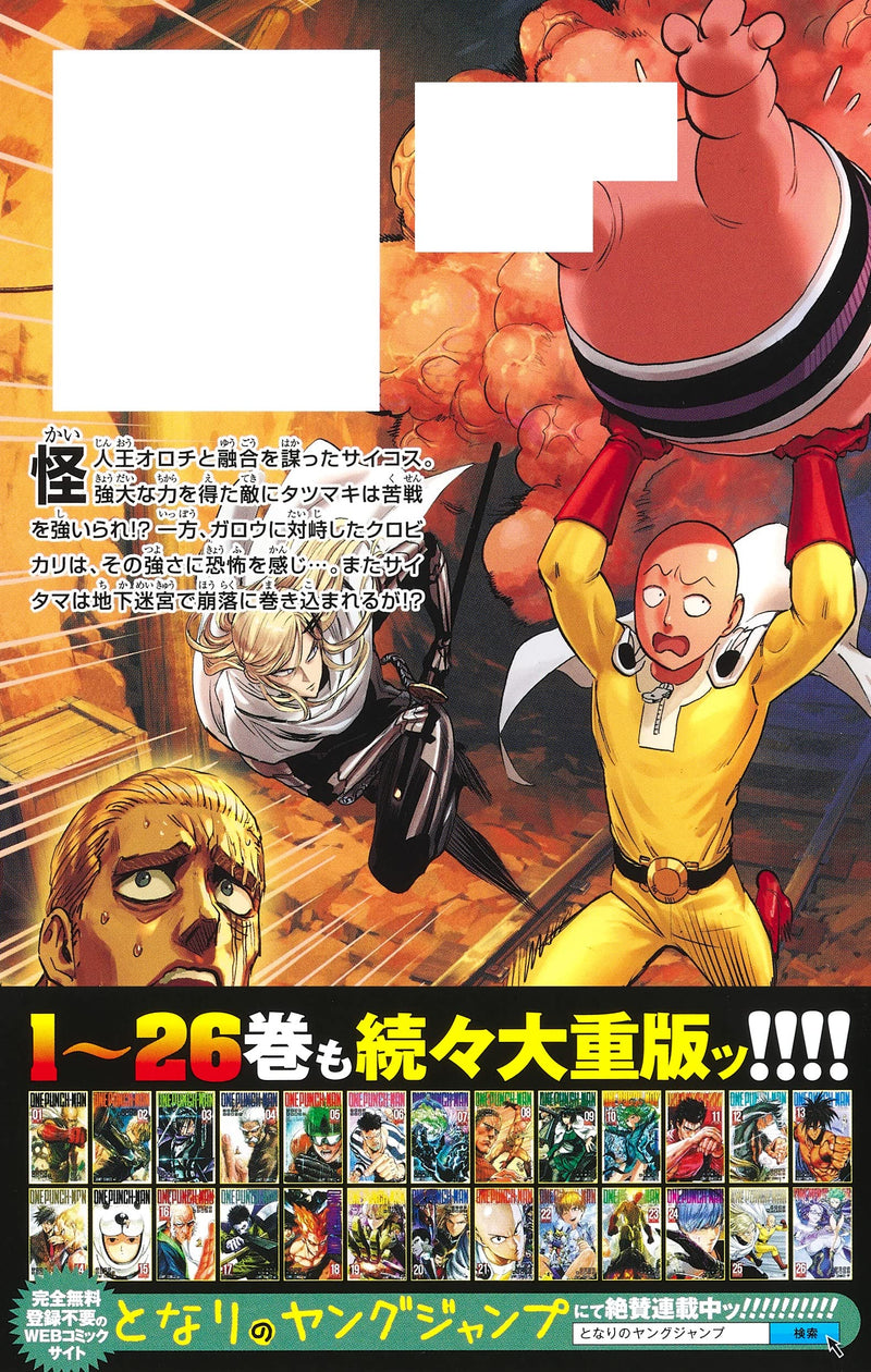 One Punch Man 27