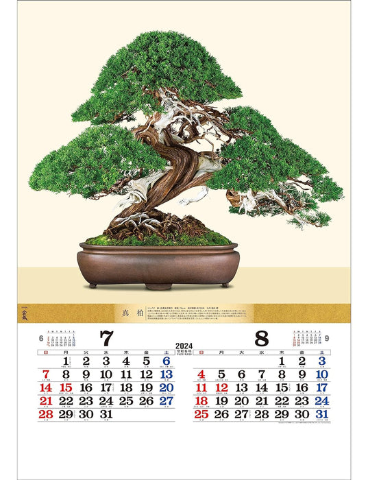 Todan 2024 Wall Calendar Bonsai 76.6 x 51.5cm TD-624