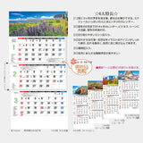 Todan 2024 Wall Calendar World 3-Month Memo (From Top to Bottom Type / Perforated) 75 x 35cm TD-30781