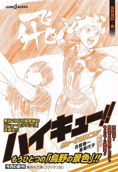 Haikyu!! Novel version!! Karasuno High Spring