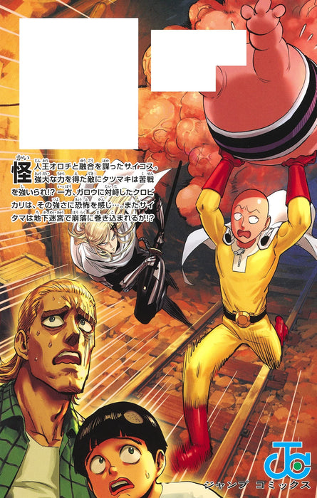 One Punch Man 27