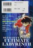 Case Closed (Detective Conan) Ultimate Labyrinth: 7 Lost Treasures (BIG KOROTAN Detective Conan Labyrinth Series)