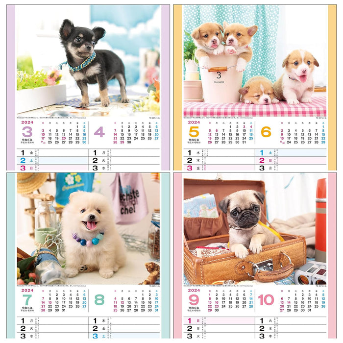 Todan 2024 Wall Calendar Koinu 52.7 x 19cm TD-997