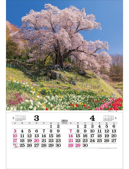 Todan 2024 Calendar Poetical Scenery with Japanese Holidays Tohan DX Film 75 x 50.4cm TD-502