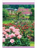 Todan 2024 Wall Calendar English Garden Tohan DX Film 75 x 50.4cm TD-535