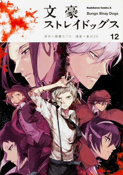 Bungo Stray Dogs 12